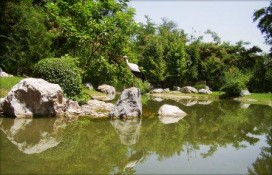 1-japonskijj-sad-1.jpg 1-japonskijj-sad-1.jpg