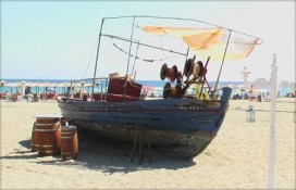 1155731333.jpg 1155731333.jpg