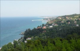 1156607310.jpg 1156607310.jpg