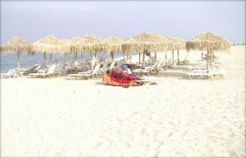 1156952464.jpg 1156952464.jpg