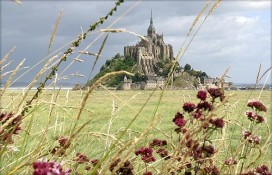 1251719634308.jpg 1251719634308.jpg