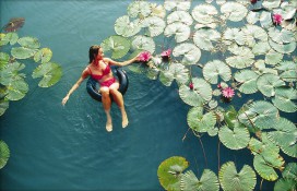 1heviz00001.jpg 1heviz00001.jpg