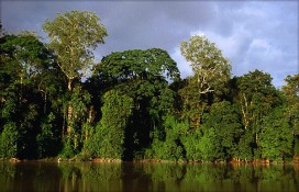 2517f_25398.jpg 2517f_25398.jpg