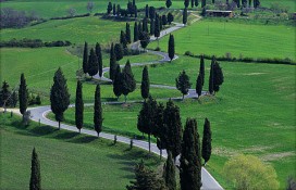 27881_26462.jpg 27881_26462.jpg