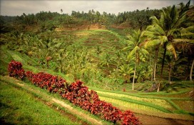 2c76a_8290.jpg 2c76a_8290.jpg