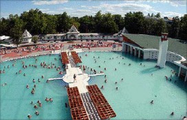 2e22c_ujmqfrcohwushc.jpg 2e22c_ujmqfrcohwushc.jpg