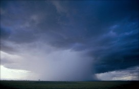 3199150480c7afaca879z.jpg 3199150480c7afaca879z.jpg