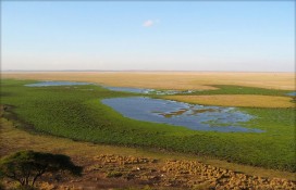 3617003747bdd00e8305z.jpg 3617003747bdd00e8305z.jpg