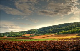 36a94_2869244971d8ac030453b.jpg 36a94_2869244971d8ac030453b.jpg