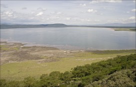 434338462032d2f5a82z.jpg 434338462032d2f5a82z.jpg