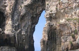 4356110954c534515823.jpg 4356110954c534515823.jpg