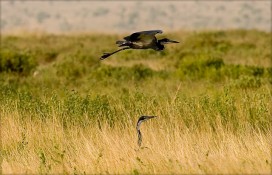 4894828615991f30b0fbz.jpg 4894828615991f30b0fbz.jpg