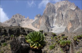 49801234343365953fffz.jpg 49801234343365953fffz.jpg