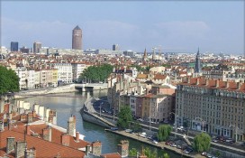 4b9a3_1300620057lion1.jpg 4b9a3_1300620057lion1.jpg