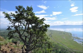 5177586031fce828cca7z.jpg 5177586031fce828cca7z.jpg