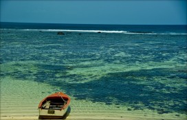 5182e_mahe-islandseychelles-islandss79rr.jpg 5182e_mahe-islandseychelles-islandss79rr.jpg