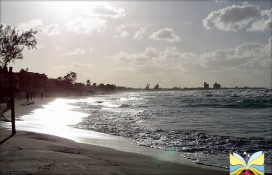 5276a_73819.jpg 5276a_73819.jpg