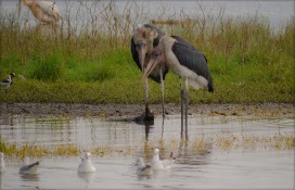 54211254385af587a254z.jpg 54211254385af587a254z.jpg