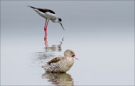 5422505437c6613c1117z.jpg 5422505437c6613c1117z.jpg