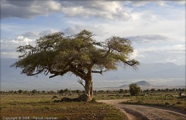 5b67a_2381244296865ffd9f16z.jpg 5b67a_2381244296865ffd9f16z.jpg