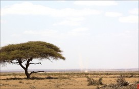 602585324975bce166b8z.jpg 602585324975bce166b8z.jpg