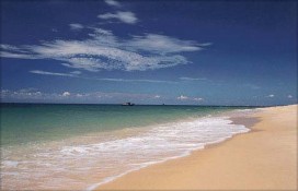 6c10f_37518.jpg 6c10f_37518.jpg