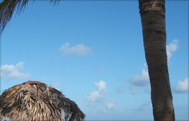 78199_73812.jpg 78199_73812.jpg