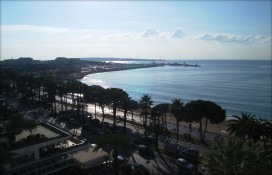 8334865882f8023729o.jpg 8334865882f8023729o.jpg