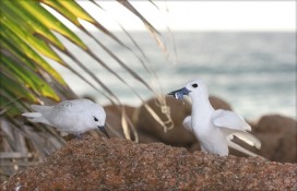 87463_56be1b979cf3c803419b2d970bb50c57.jpg 87463_56be1b979cf3c803419b2d970bb50c57.jpg