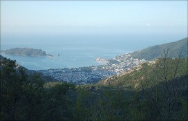 a7efc_bechichi-1.jpg a7efc_bechichi-1.jpg