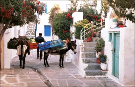 aboutparos9.jpg aboutparos9.jpg