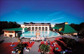 ametiszt12.jpg ametiszt12.jpg