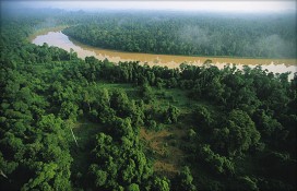 bb78d_25405.jpg bb78d_25405.jpg