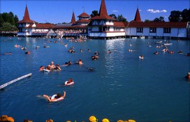 bigheviz2.jpg bigheviz2.jpg