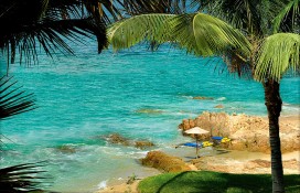 bigpalbk1148.jpg bigpalbk1148.jpg