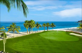 bigpalbk1732ocean3rdgreen.jpg bigpalbk1732ocean3rdgreen.jpg