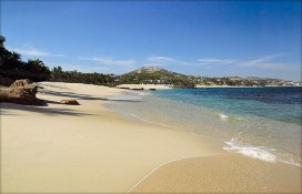 bigpmbk1818.jpg bigpmbk1818.jpg