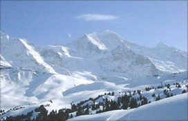 c45806330bef318cf41f8e8fd0770623big.jpg c45806330bef318cf41f8e8fd0770623big.jpg