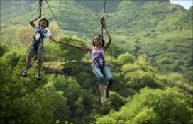 casela-1.jpg casela-1.jpg