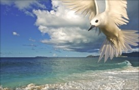 cousine063.jpg cousine063.jpg