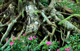 dc902_37218.jpg dc902_37218.jpg