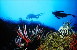 e6310_25392.jpg e6310_25392.jpg