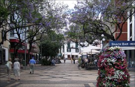 Фуншал – столица острова Мадейра Фуншал – столица острова Мадейра