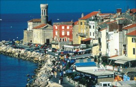 ebd55_1.jpg ebd55_1.jpg