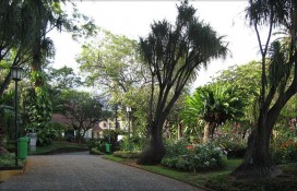 Парк в центре Парк в центре