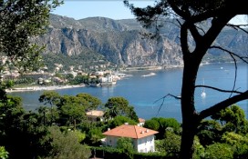 image3230686111295521539.jpg image3230686111295521539.jpg