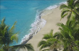 islandfregateseychelles.jpg islandfregateseychelles.jpg