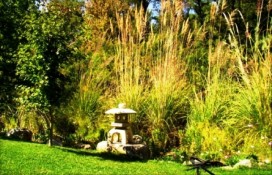 japonskijj-park-2.jpg japonskijj-park-2.jpg