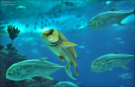 mixx08sbtbw.jpg mixx08sbtbw.jpg