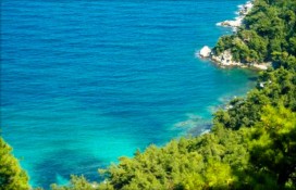 repphoto7162408.jpg repphoto7162408.jpg